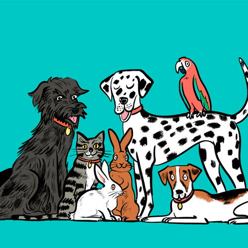 pets at home