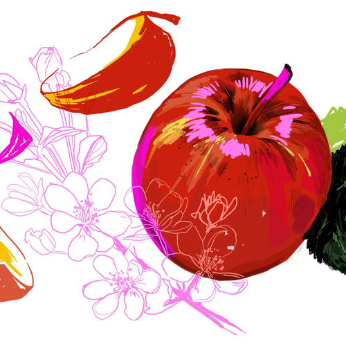 apples