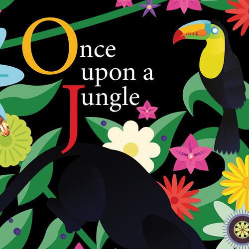 Picture Book