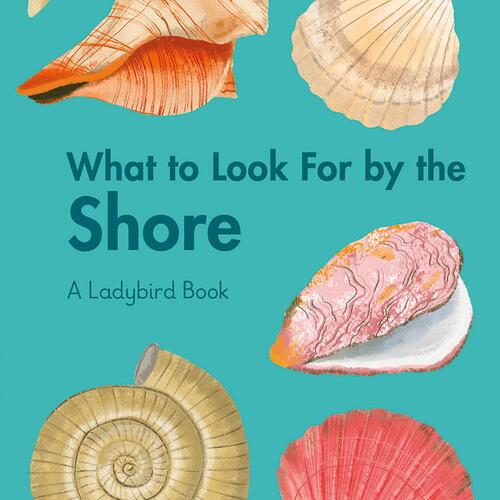 WHAT TO LOOK FOR BY THE SHORE
