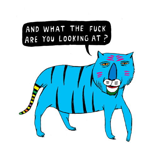 RUDE TIGER