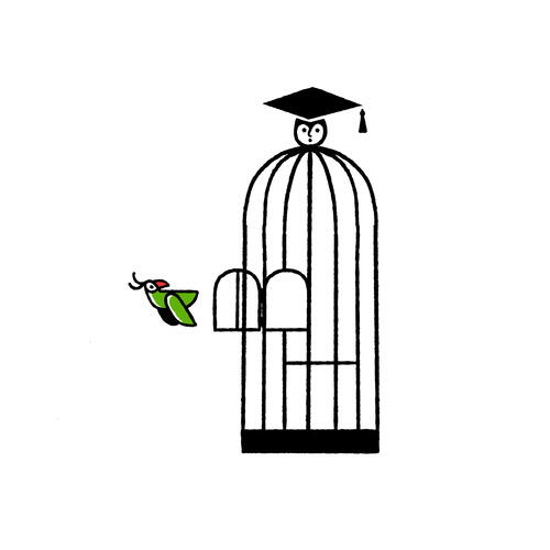 Birdcage