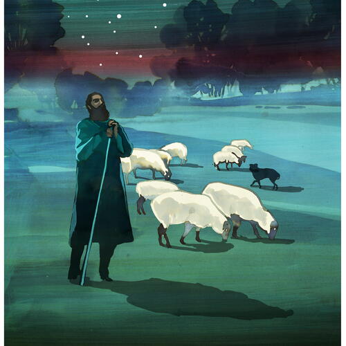 Shepherd