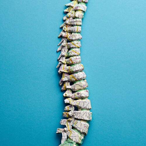 Spine