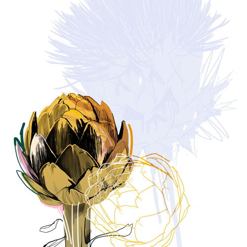 artichoke