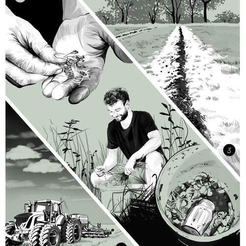 AGROFORESTRY