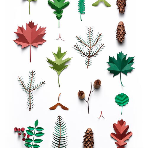 Paper Garden