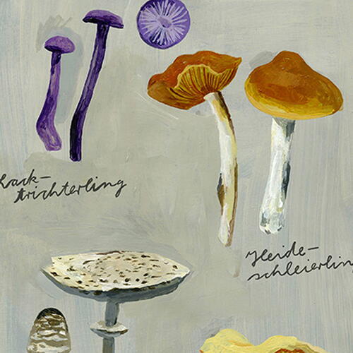 Tim Mälzer Cookbook