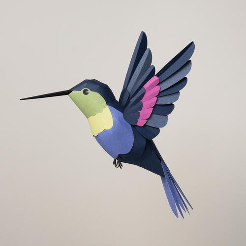 Hummingbird