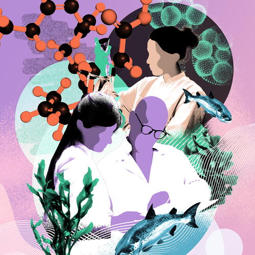 Mare Magazine Omega 3