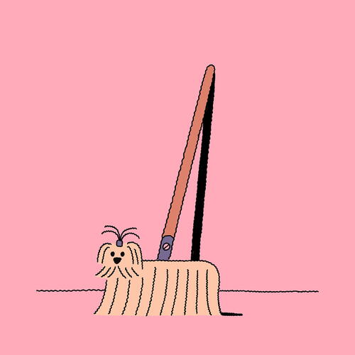 dog brush