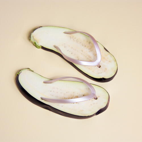 Flip Flop