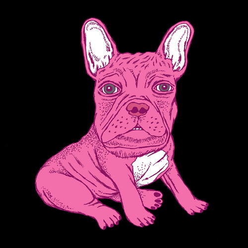 FAT PUPPY