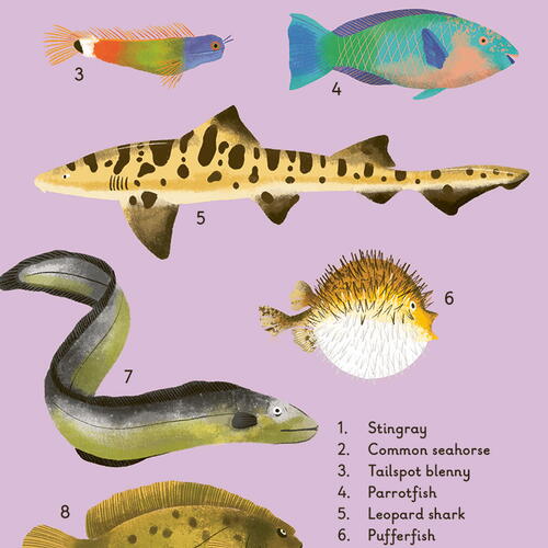 WHAT TO LOOK FOR BY THE SHORE