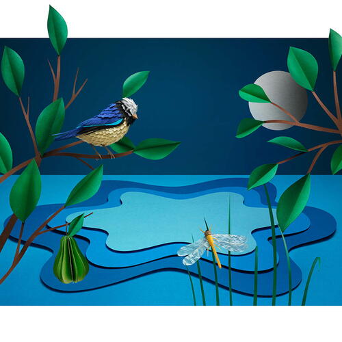Bird and dragonfly