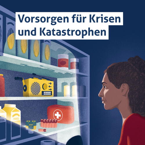 Preparing for crises and disasters