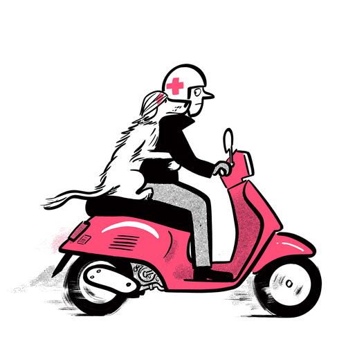 Animal Ambulance