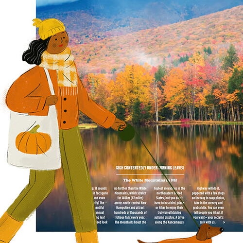 AUTUMN BASICS