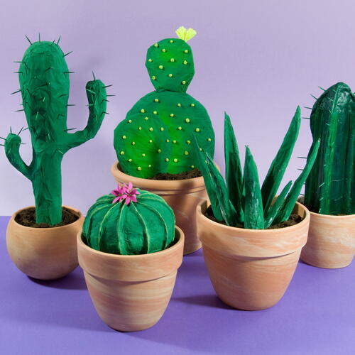 Cacti