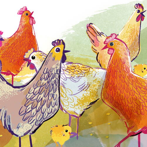 Chicken