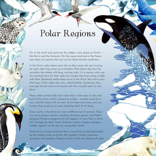 Return of the Wild