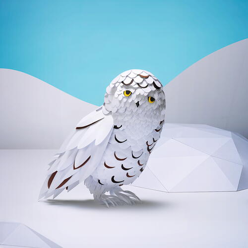 Owl