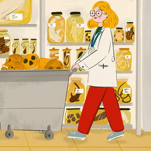 SCIENTISTS AT THE MUSEUM