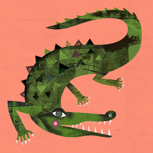 The Crocodile