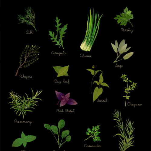 Herbs