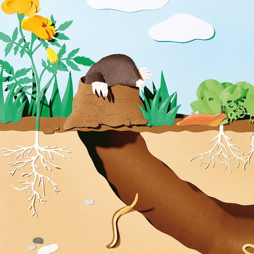 Moles