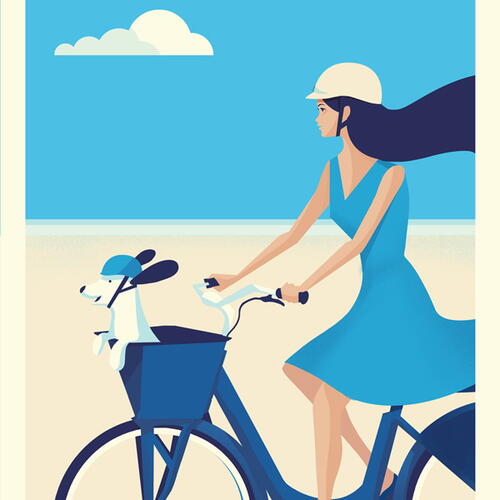 Citibike Miami