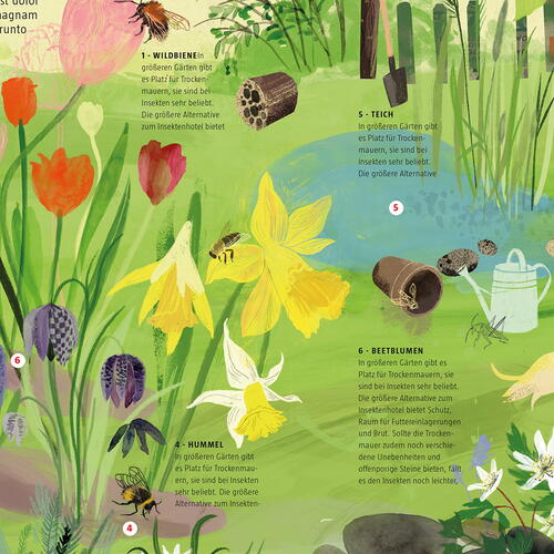 The insect friendly garden