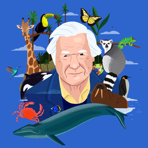 David Attenborough