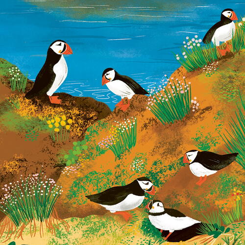 WHAT TO LOOK FOR BY THE SHORE