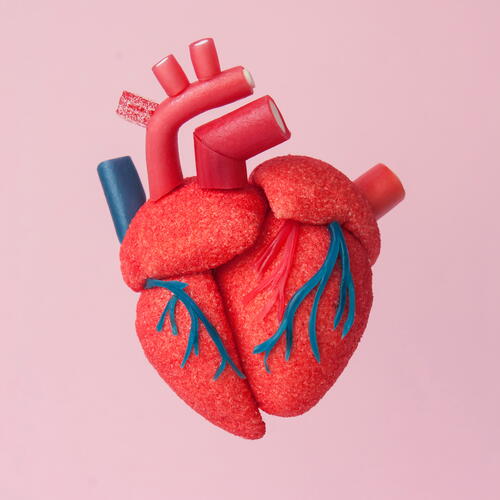 Heart