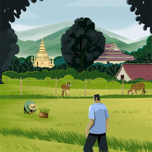 Rice Fields Pai