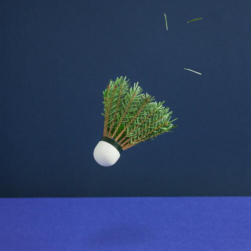 Badminton