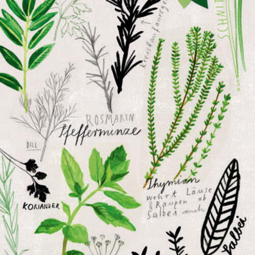 Herbs